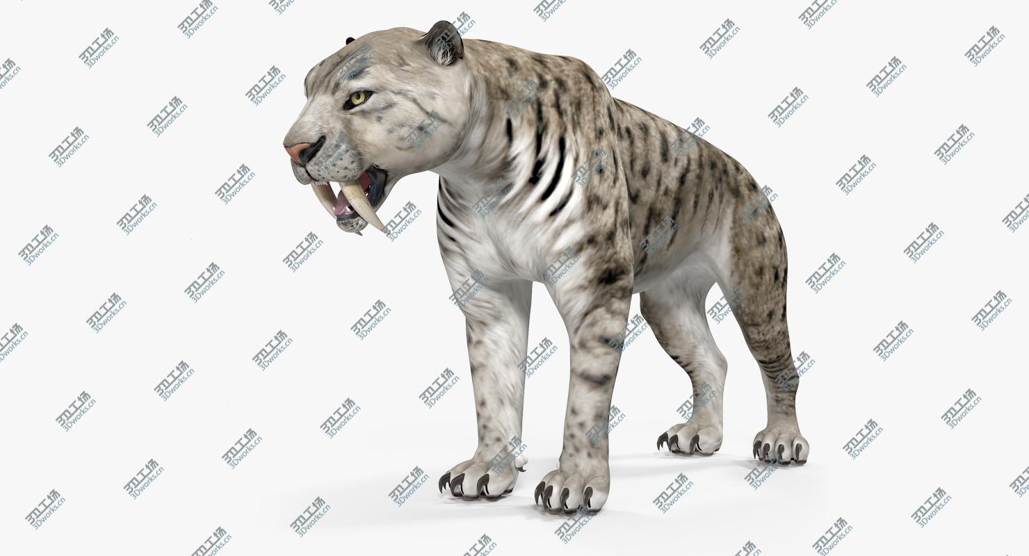 images/goods_img/202104021/3D Arctic Saber Tooth Cat model/2.jpg
